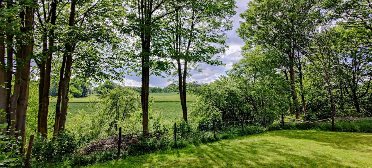 Inikama: Designer Apartment Im Gruenen - Netflix Rosengarten  Exteriör bild